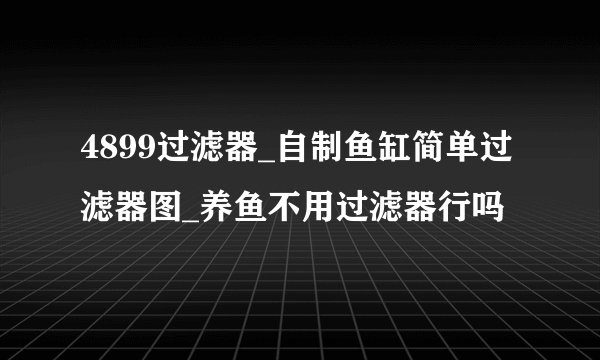 4899过滤器_自制鱼缸简单过滤器图_养鱼不用过滤器行吗