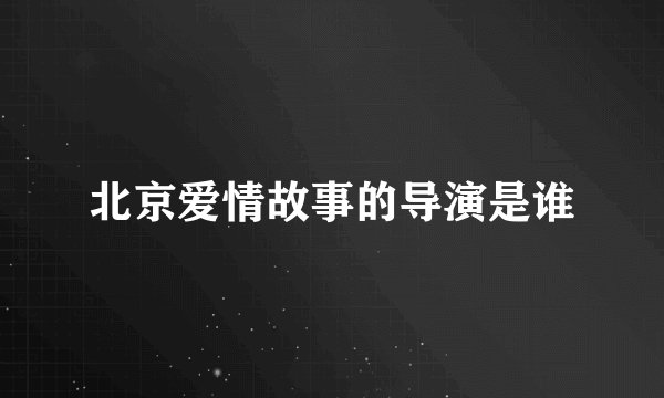 北京爱情故事的导演是谁