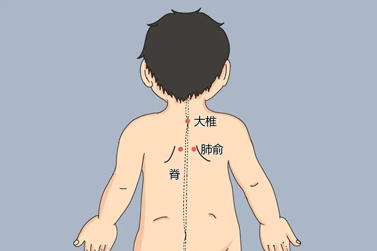 儿童三伏贴位置详细图