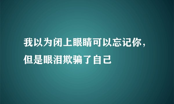 我以为闭上眼睛可以忘记你，但是眼泪欺骗了自己