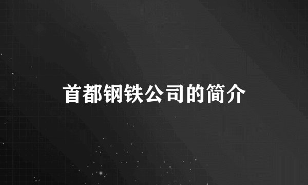 首都钢铁公司的简介