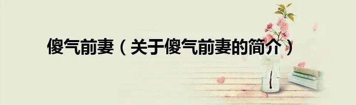 傻气前妻（关于傻气前妻的简介）