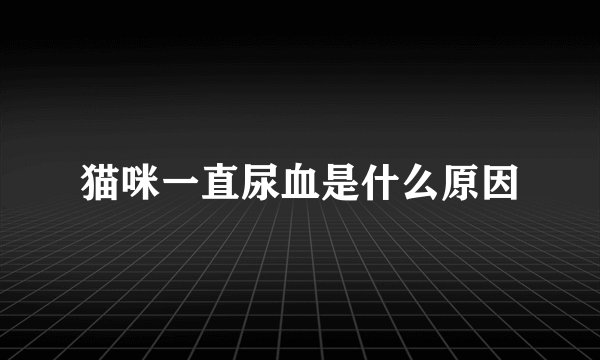 猫咪一直尿血是什么原因