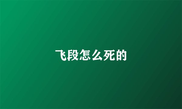 飞段怎么死的