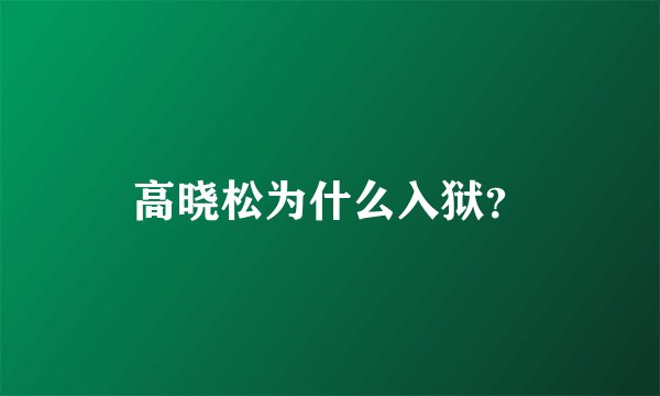高晓松为什么入狱？
