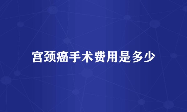 宫颈癌手术费用是多少