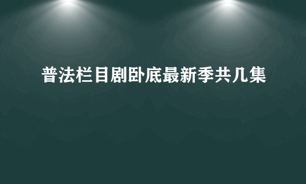 普法栏目剧卧底最新季共几集