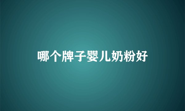 哪个牌子婴儿奶粉好