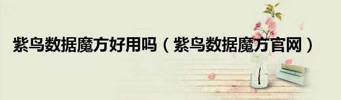 紫鸟数据魔方好用吗（紫鸟数据魔方官网）