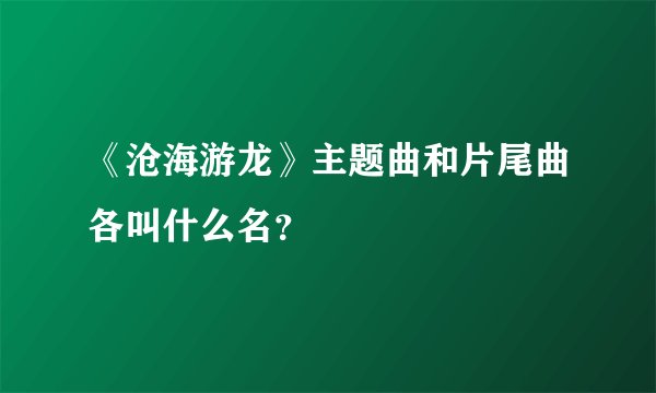 《沧海游龙》主题曲和片尾曲各叫什么名?