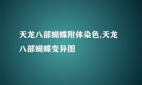 天龙八部蝴蝶附体染色,天龙八部蝴蝶变异图