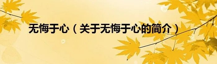 无悔于心（关于无悔于心的简介）
