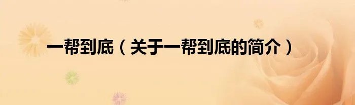 一帮到底（关于一帮到底的简介）
