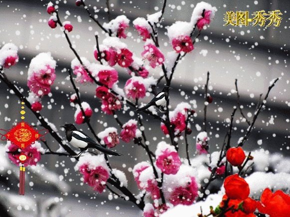 无本生意该怎么做?