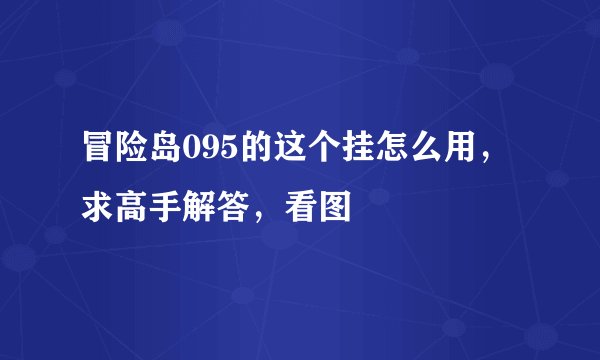 冒险岛095的这个挂怎么用，求高手解答，看图
