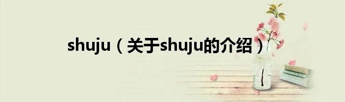 shuju（关于shuju的介绍）