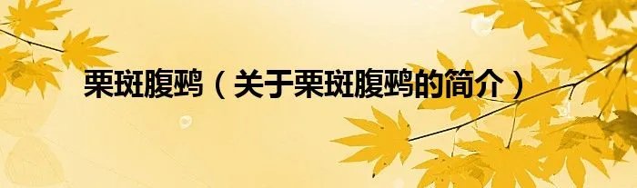 栗斑腹鹀（关于栗斑腹鹀的简介）