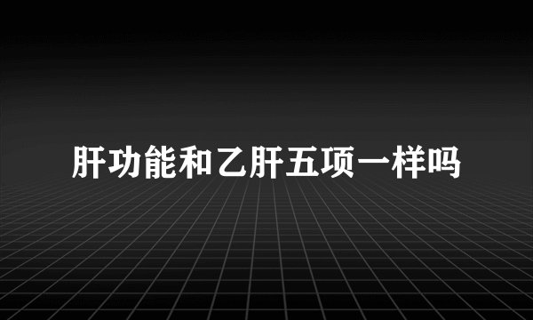 肝功能和乙肝五项一样吗