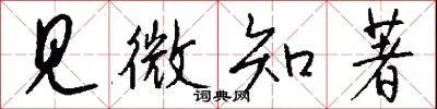 见微知著