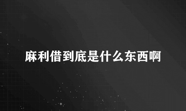 麻利借到底是什么东西啊
