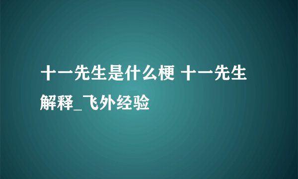 十一先生是什么梗 十一先生解释_飞外经验