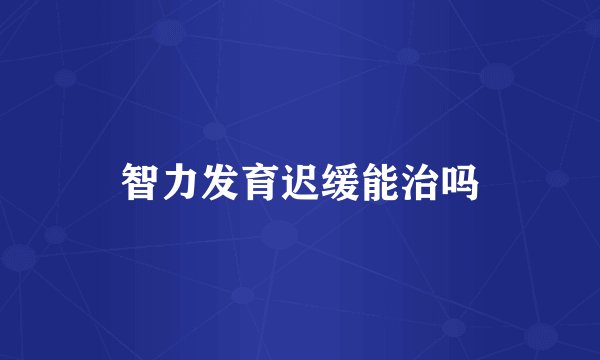 智力发育迟缓能治吗