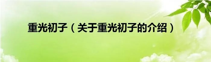 重光初子（关于重光初子的介绍）