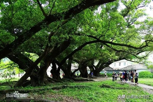 宁德有哪些旅游景点?