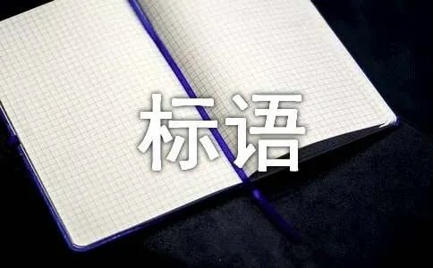 拾金不昧锦旗经典标语