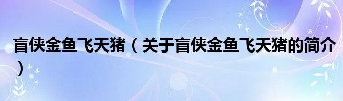 盲侠金鱼飞天猪（关于盲侠金鱼飞天猪的简介）