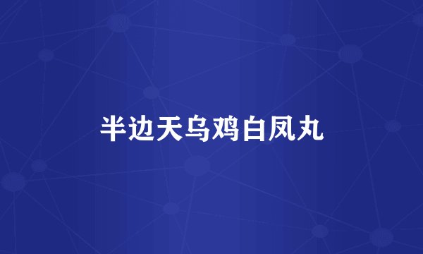 半边天乌鸡白凤丸