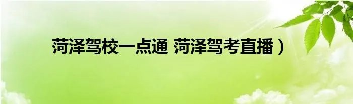 菏泽驾校一点通 菏泽驾考直播)