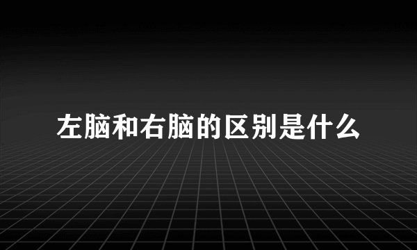 左脑和右脑的区别是什么