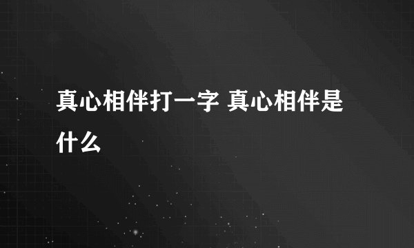 真心相伴打一字 真心相伴是什么