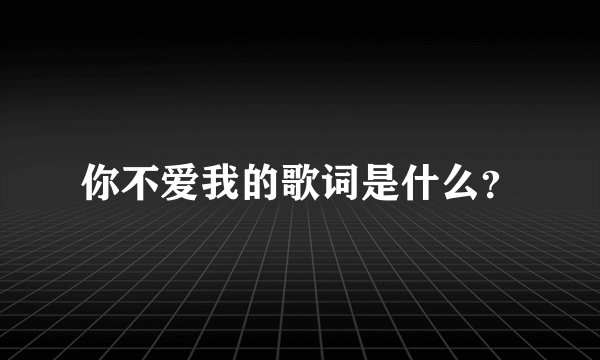 你不爱我的歌词是什么？