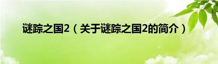 谜踪之国2（关于谜踪之国2的简介）