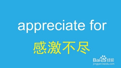 appreciate for怎么用
