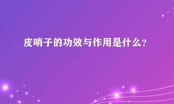 皮哨子的功效与作用是什么？