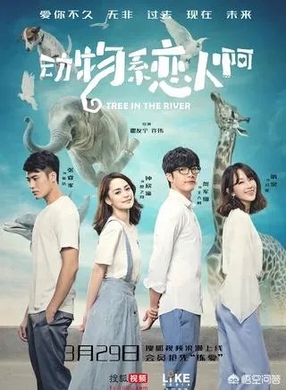 钟欣铜有那些电视剧？