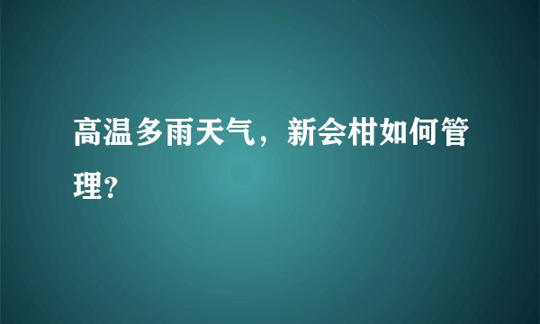 高温多雨天气，新会柑如何管理？