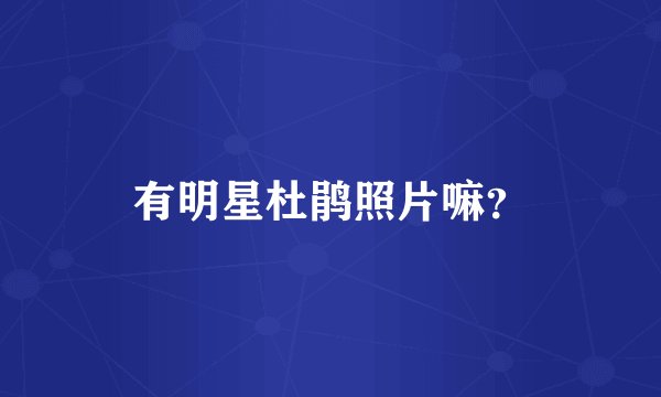 有明星杜鹃照片嘛？