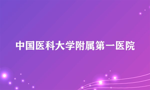 中国医科大学附属第一医院