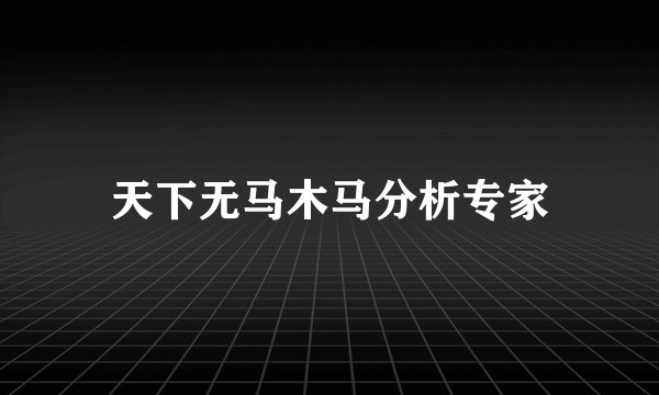 天下无马木马分析专家