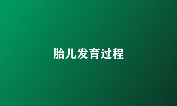 胎儿发育过程