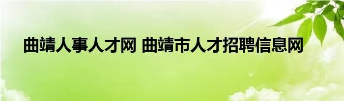 曲靖人事人才网 曲靖市人才招聘信息网