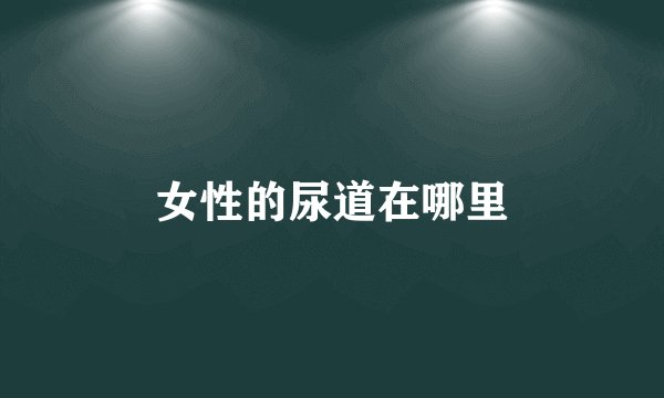 女性的尿道在哪里
