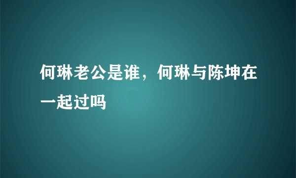 何琳老公是谁，何琳与陈坤在一起过吗