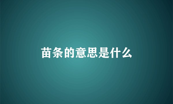 苗条的意思是什么