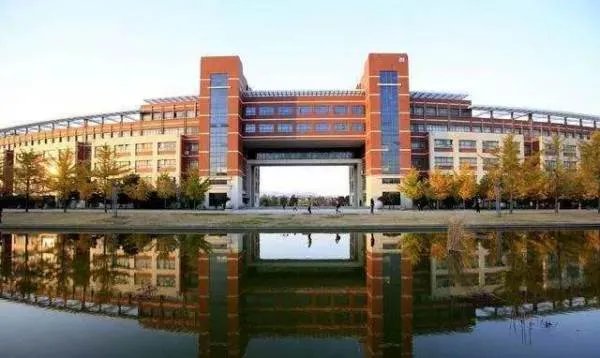 武汉一中学女孩从11层楼顶跳楼坠亡,谁应该为此女孩因作业压力跳楼负责?
