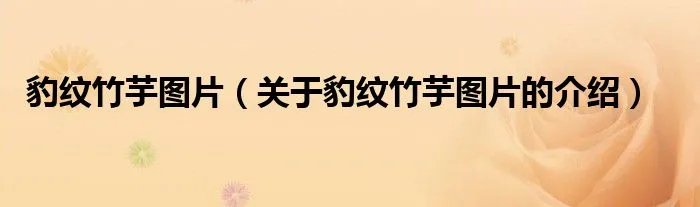 豹纹竹芋图片（关于豹纹竹芋图片的介绍）